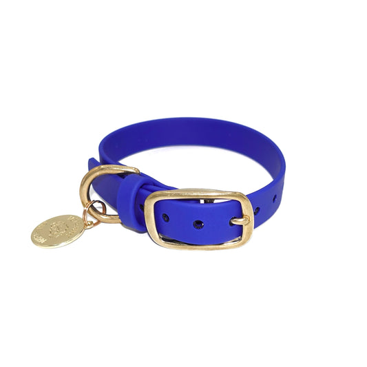 Blue dog collar with gold buckle and tag on a white background