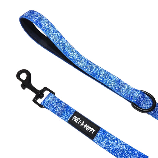Blue and white patterned dog leash with black hardware on a white background