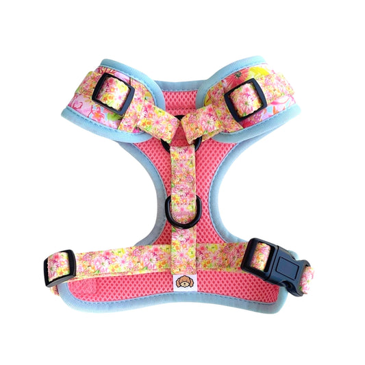 Floral patterned dog harness with black hardware on a white background