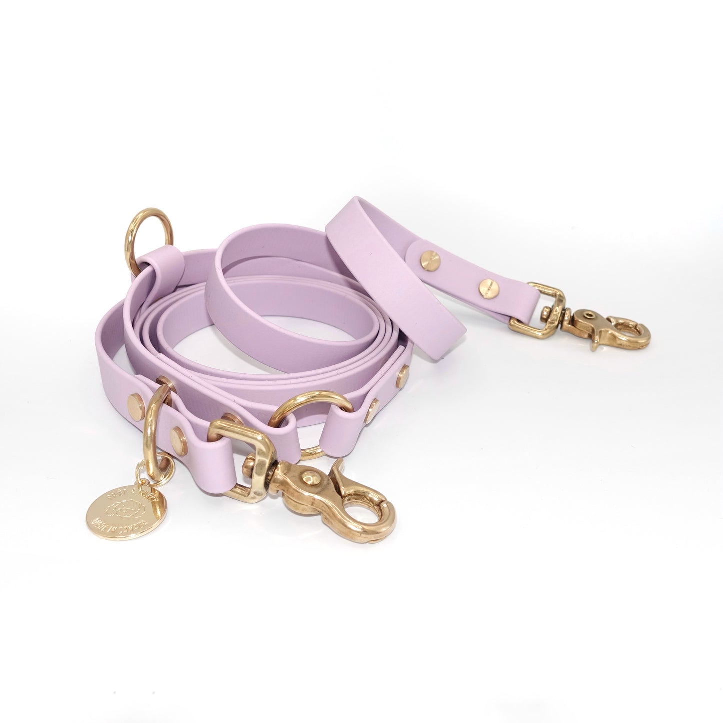 Hands Free Leash