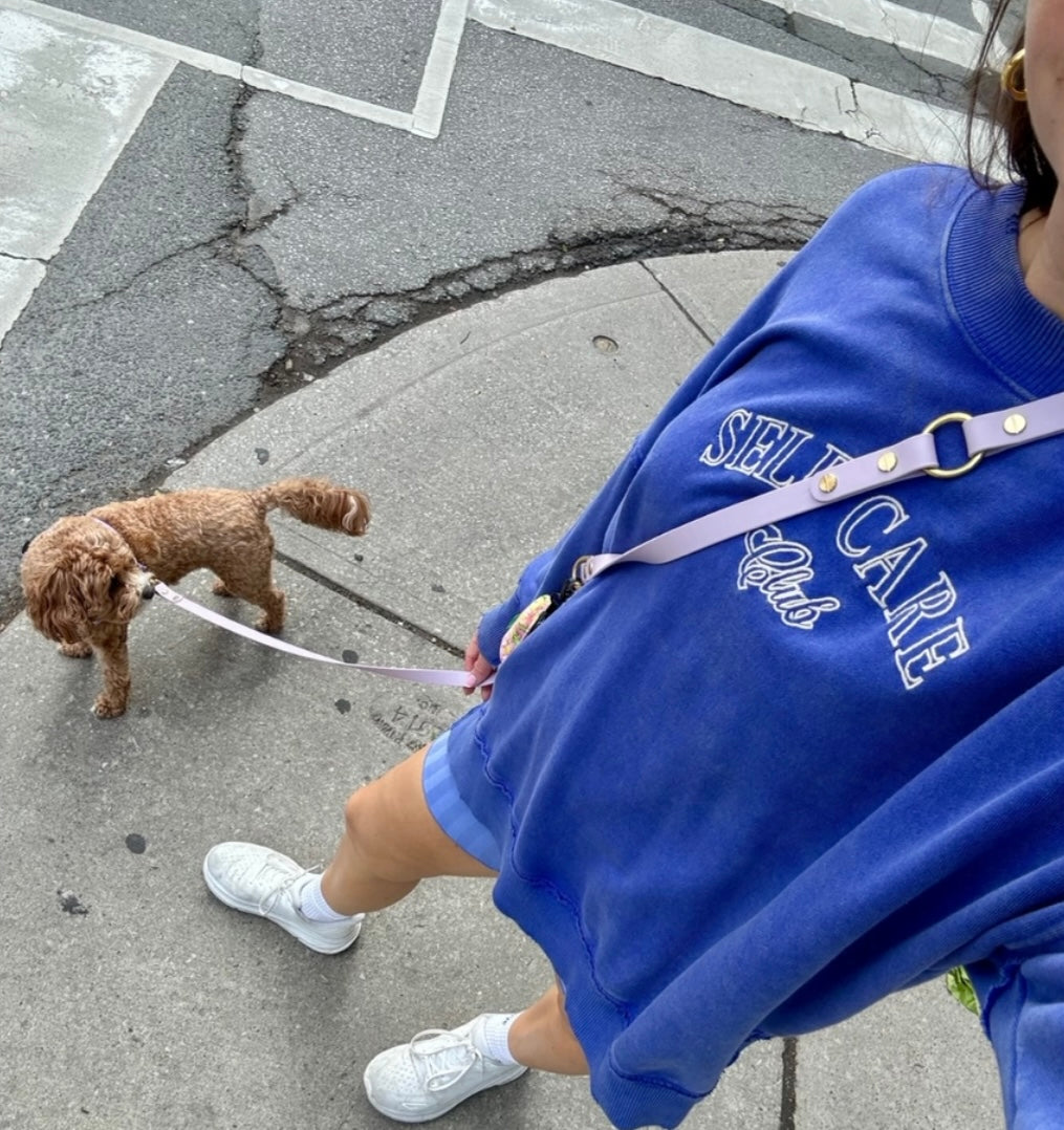 Hands Free Leash