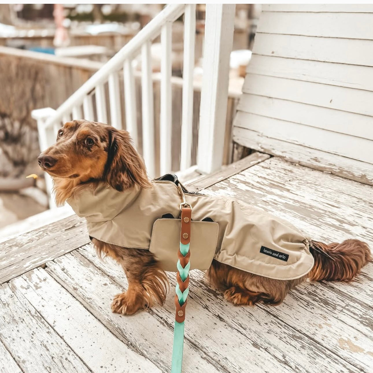 Braided Original Leash - Design your Own