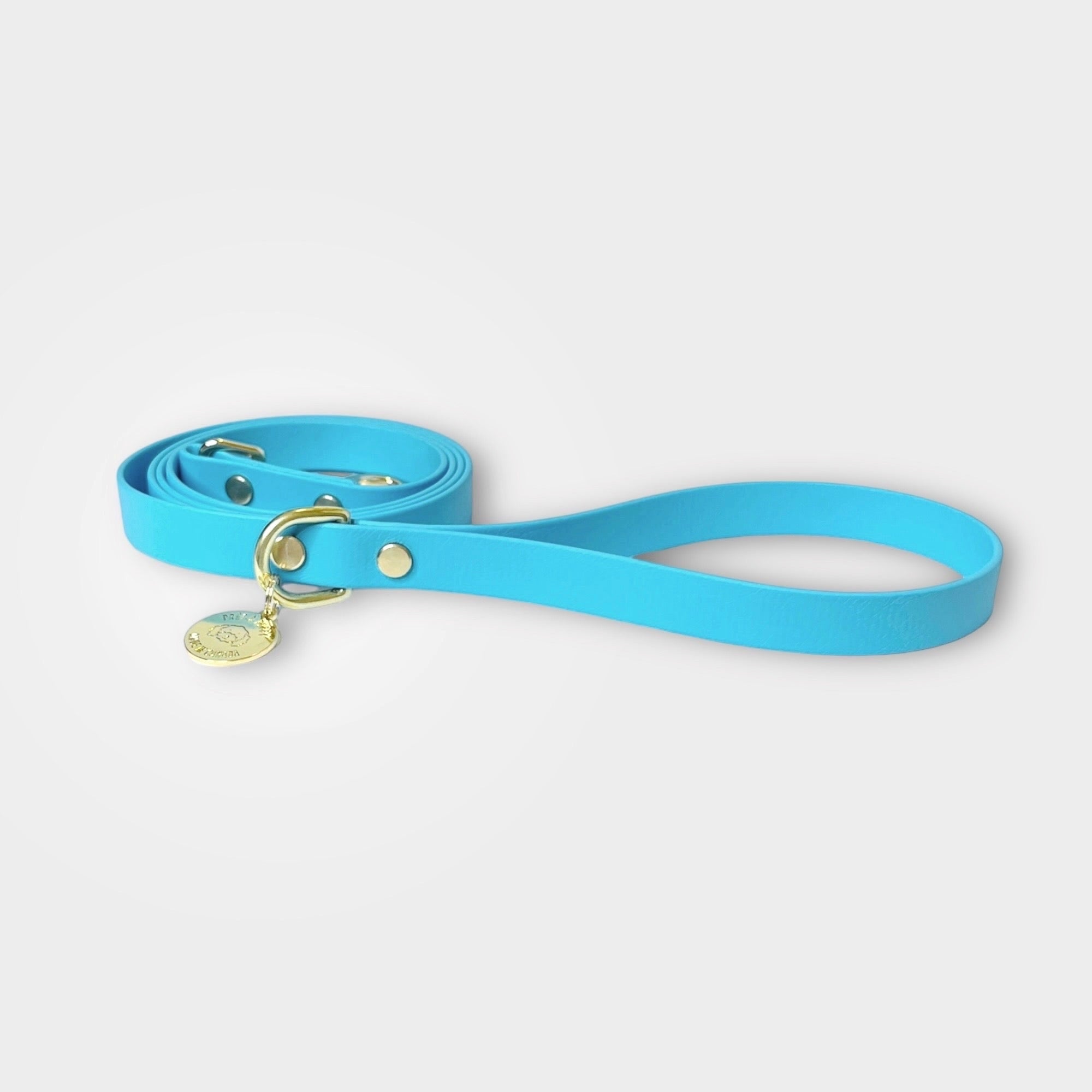 Tiffany blue dog clearance leash