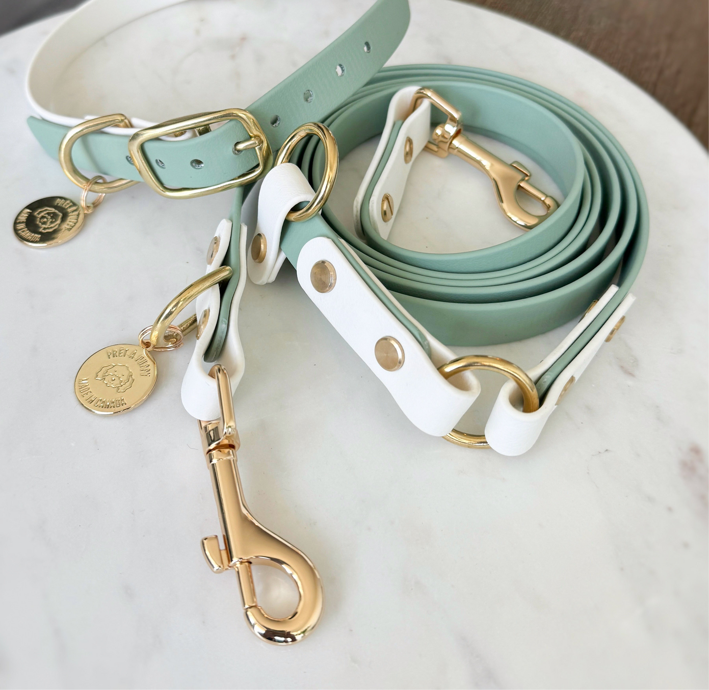Hands Free Leash - Design your Own
