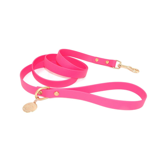 Pink dog leash with gold hardware on a white background