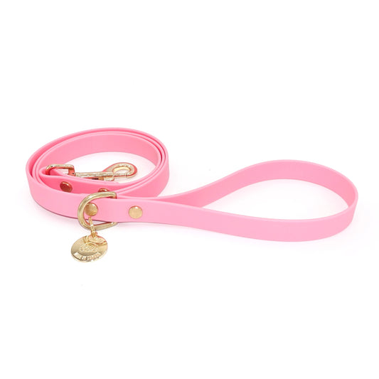 Pink dog leash with gold hardware on a white background