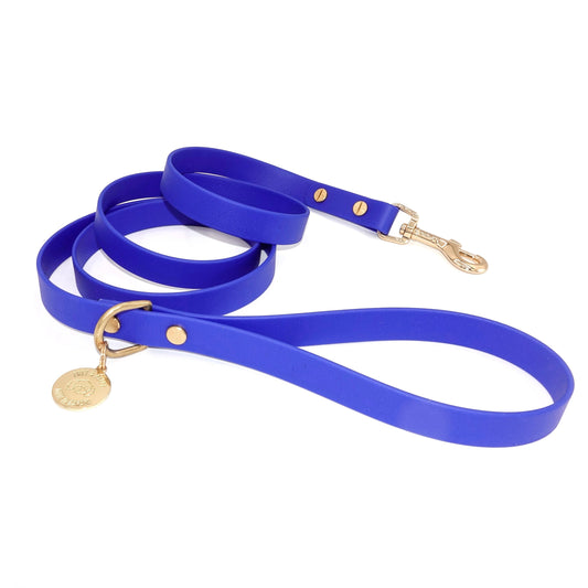 Blue dog leash with gold hardware on a white background
