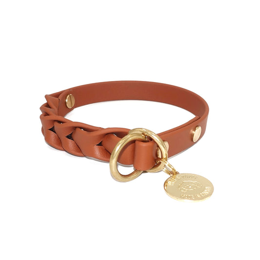 Brown slip dog collar with gold hardware and tag on a white background