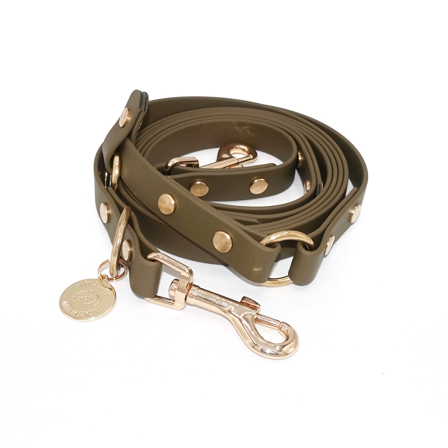 Hands Free Leash