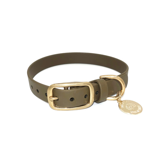 Olive green dog collar with gold buckle and tag on a white background