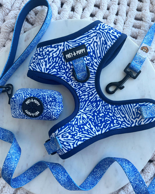 Flat lay of patterned blue and white dog harness, leash and poop bag holder set on a white background