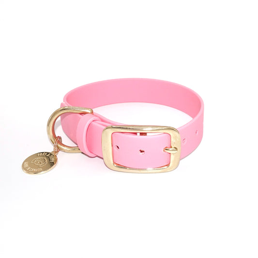 Pink dog collar with gold buckle and tag on a white background