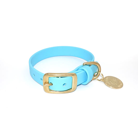 Light blue dog collar with gold buckle and tag on a white background