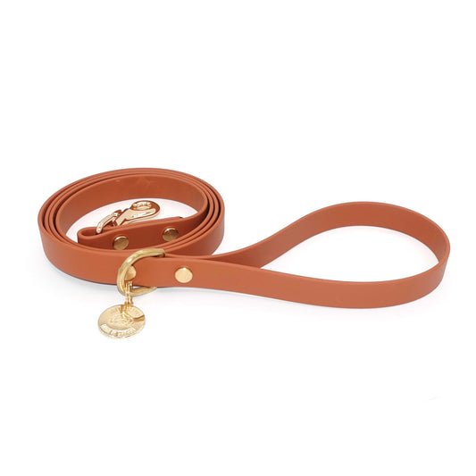 Brown dog leash with gold hardware on a white background