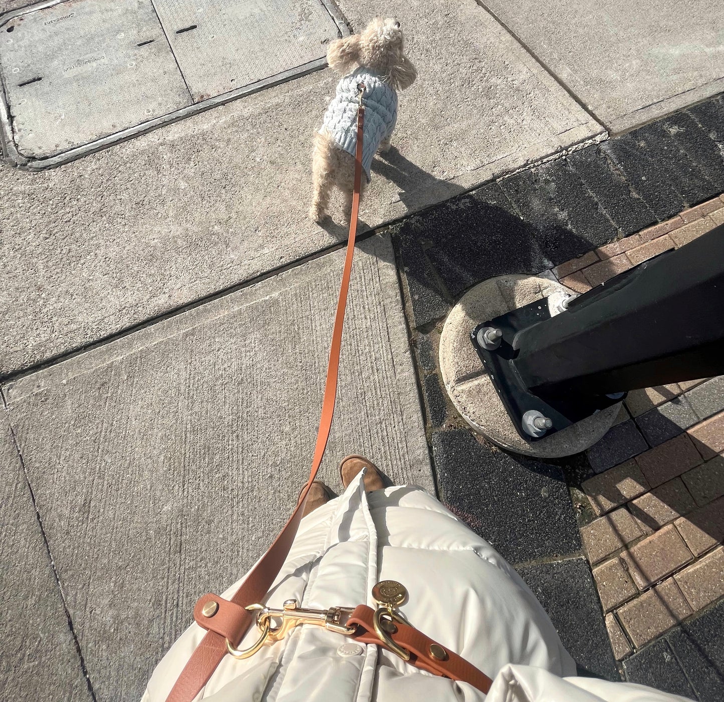 Hands Free Leash