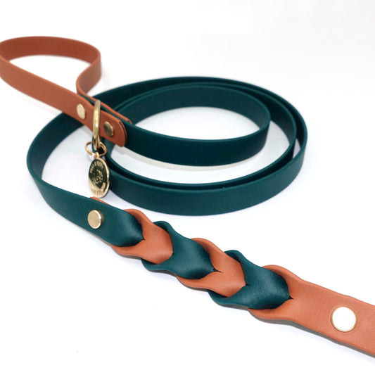 Green and brown braided dog leash on a white background