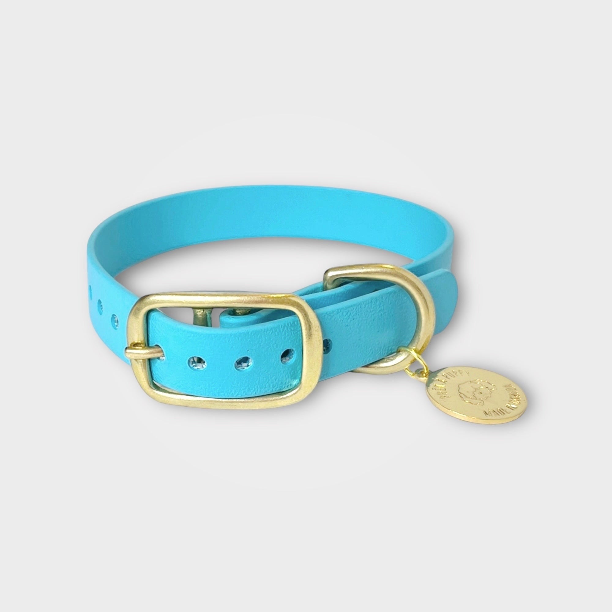 Blueberry Pet Essentials 21 Colors Classic Dog Collar, Turquoise, Small,  Neck 12-16, Nylon Collars for Dogs