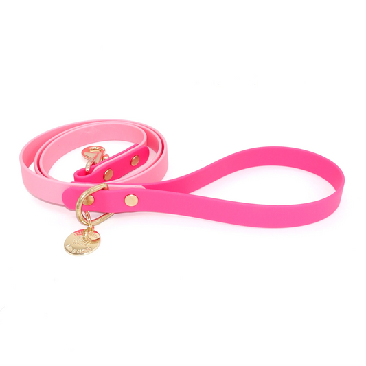 two tone pink dog leash with gold hardware on a white background