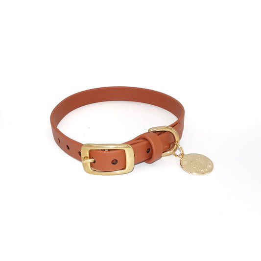 Brown dog collar with gold buckle and tag on a white background