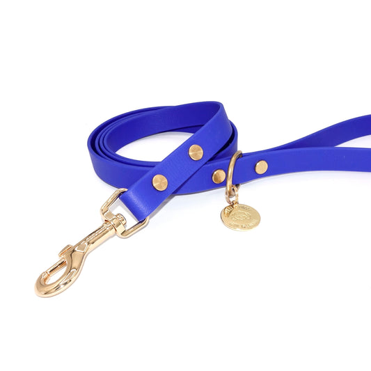 Blue dog leash with gold hardware and a tag on a white background