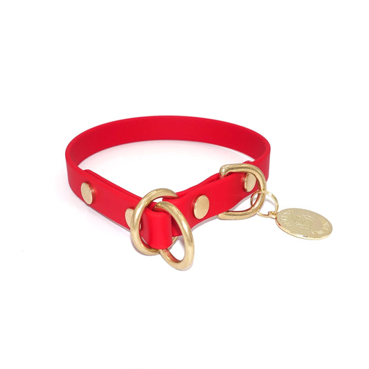 Red slip dog collar with gold hardware on a white background