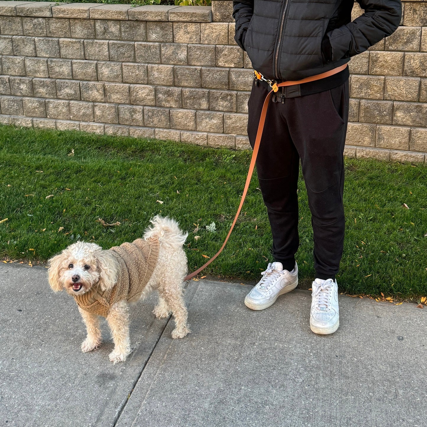 Biothane hands-free dog leash with gold hardware, waterproof and wearable crossbody