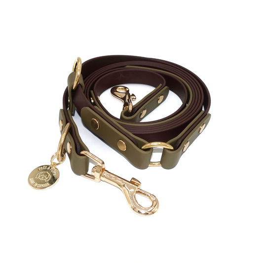 Brown and green hands free dog leash with gold hardware on a white background