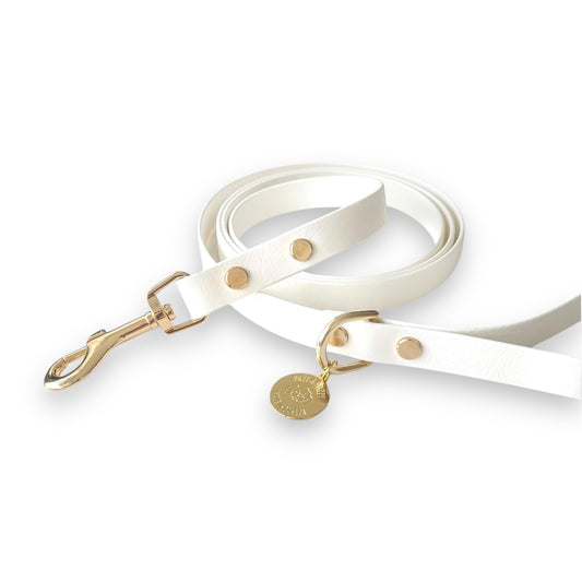 White dog leash with gold hardware on a white background