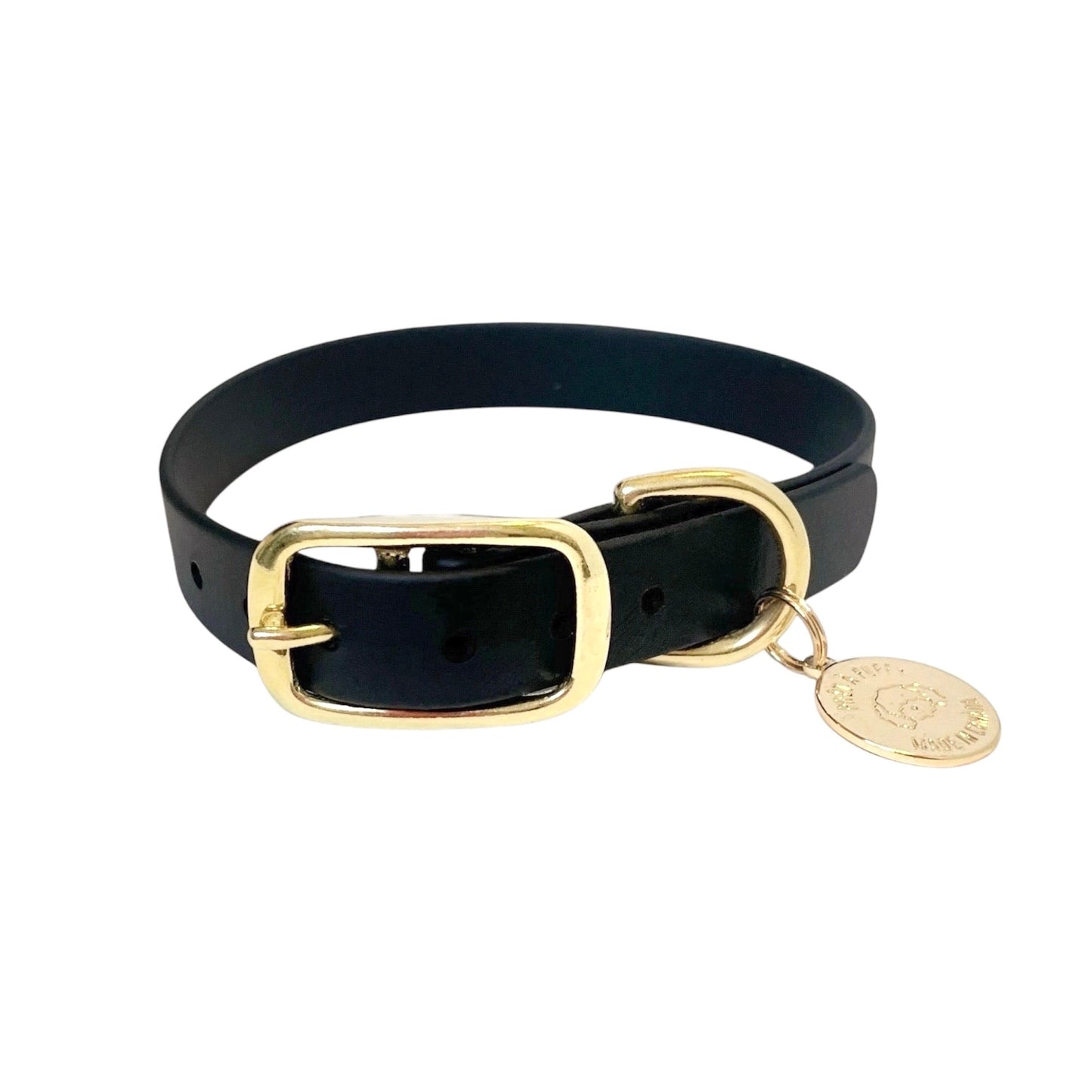 Black Biothane waterproof dog collar with gold brass hardware, durable and stylish