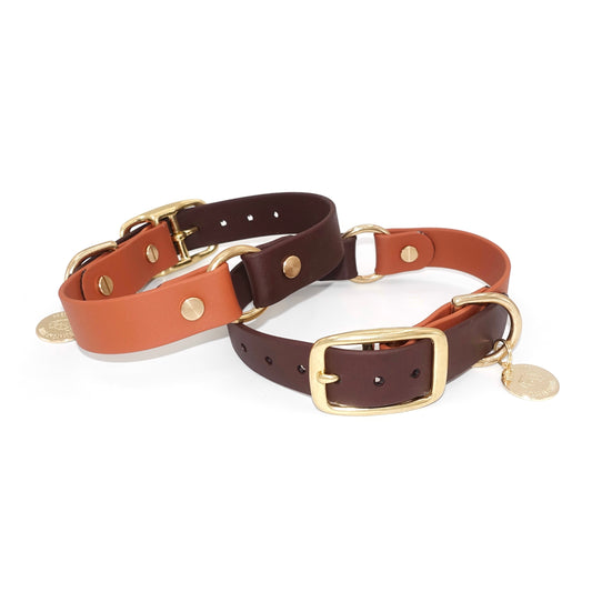 Two brown two toned dog collars with gold buckles on a white background