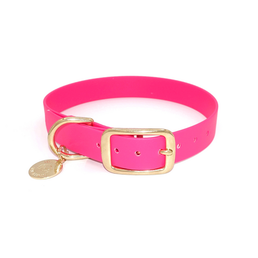 Pink dog collar with gold buckle and tag on a white background