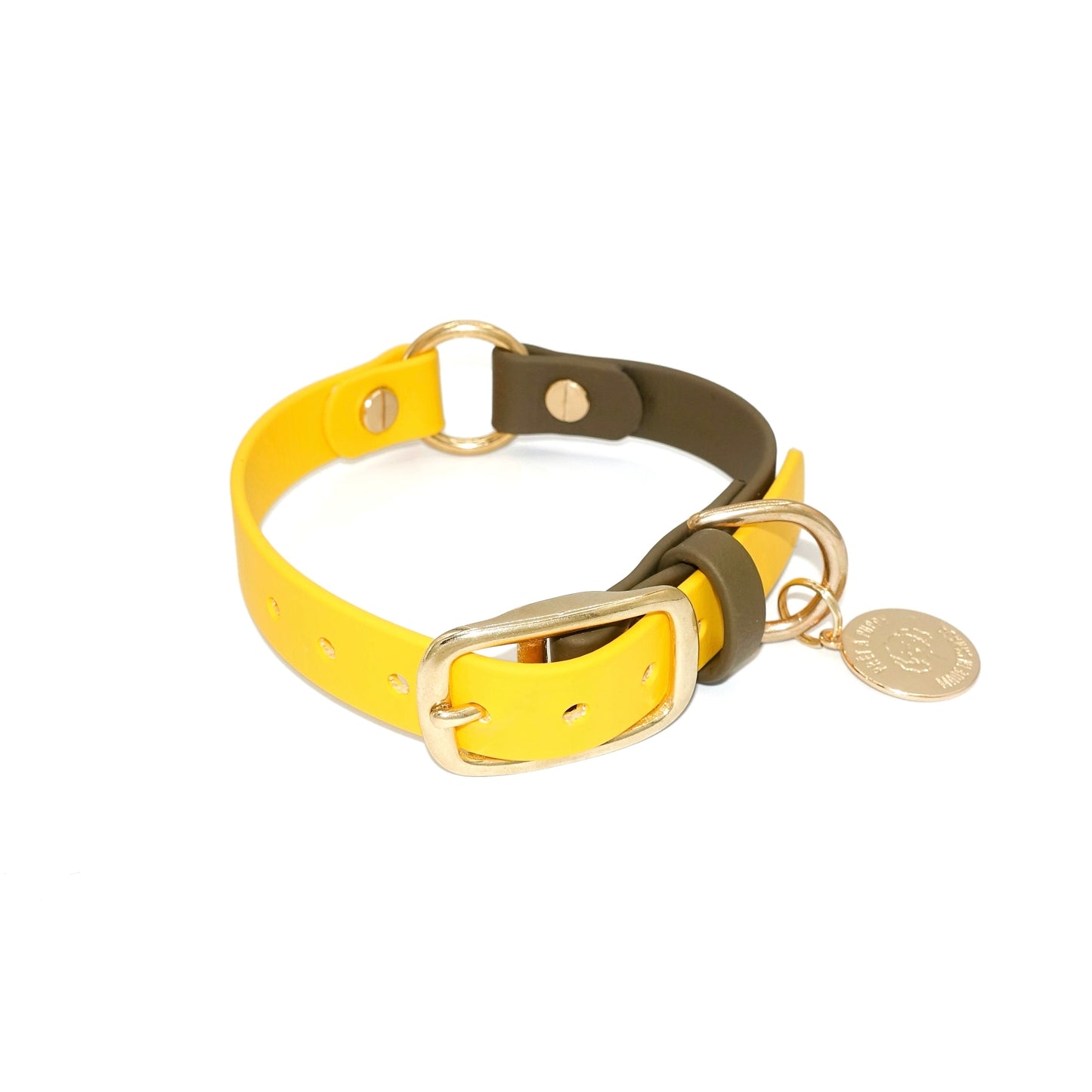 Biothane waterproof dog collar with gold brass hardware, durable and stylish, yellow and olive