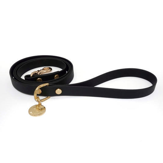 Black dog leash with gold hardware and a tag on a white background
