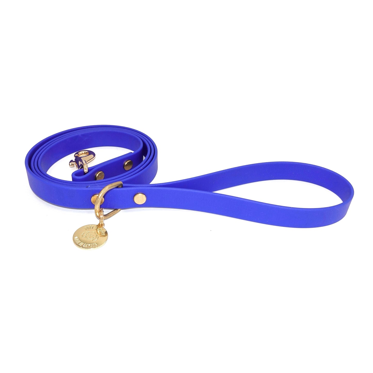 Royal Blue Biothane dog leash with gold hardware, waterproof and durable, stylish for daily dog walks