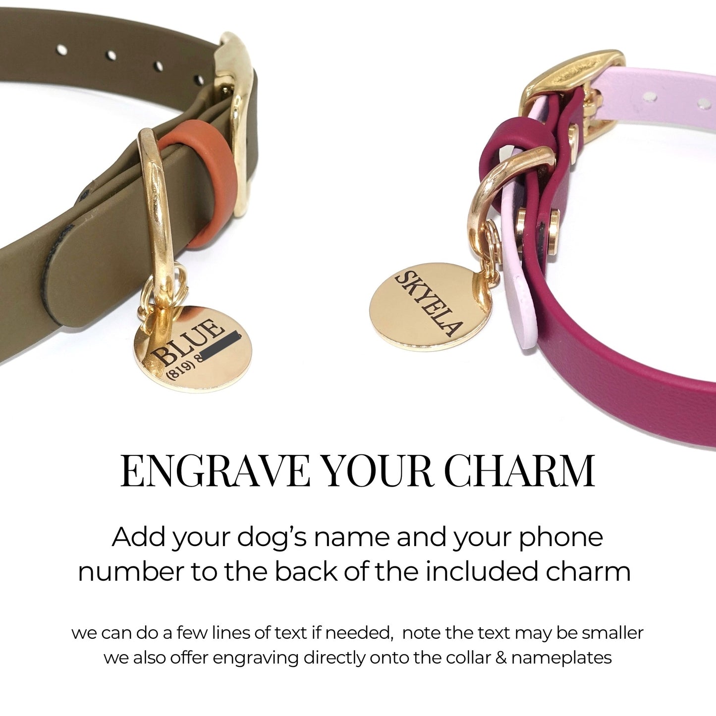 Dog collars with engraved charms on a white background. Text on image reads: “Add your dog’s name and your phone number to the back of the included charm.