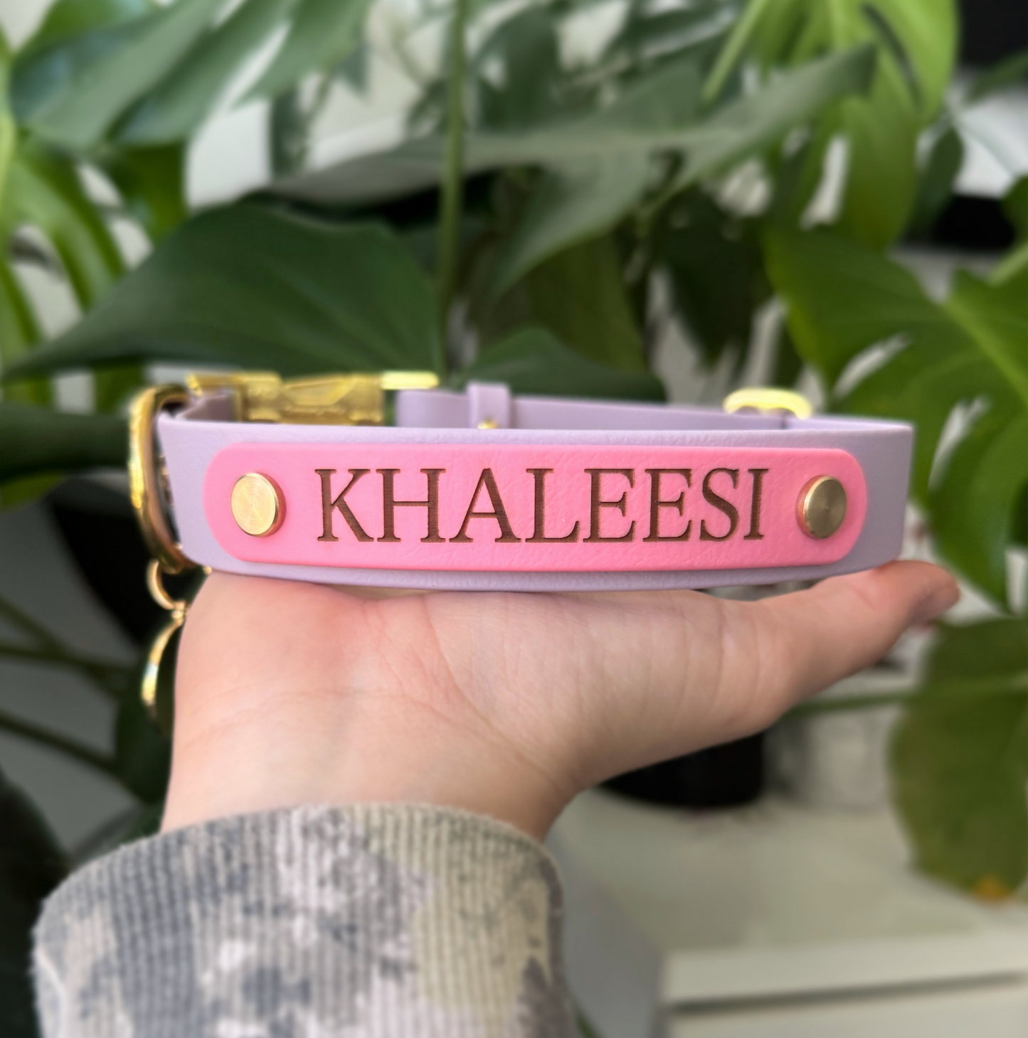 Custom engraved dog ID nameplate for collar or leash, personalized with pet name and phone number