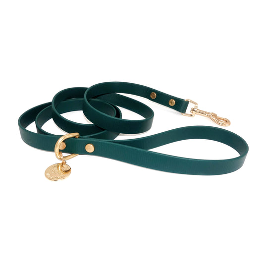 Green dog leash with gold hardware on a white background
