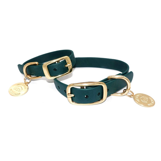 Two forest green dog collars with gold hardware on a white background