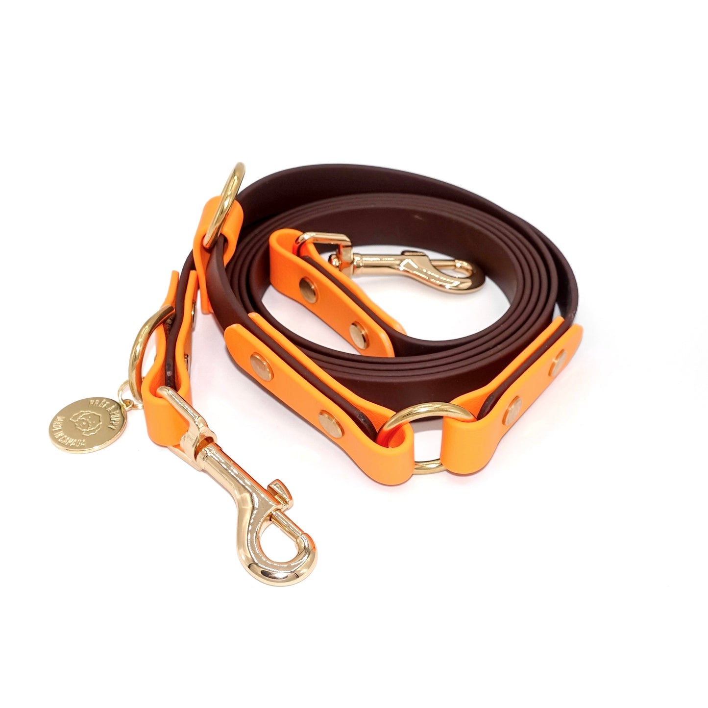 Two-tone Biothane hands-free dog leash with gold hardware, waterproof and versatile for waist or crossbody wear