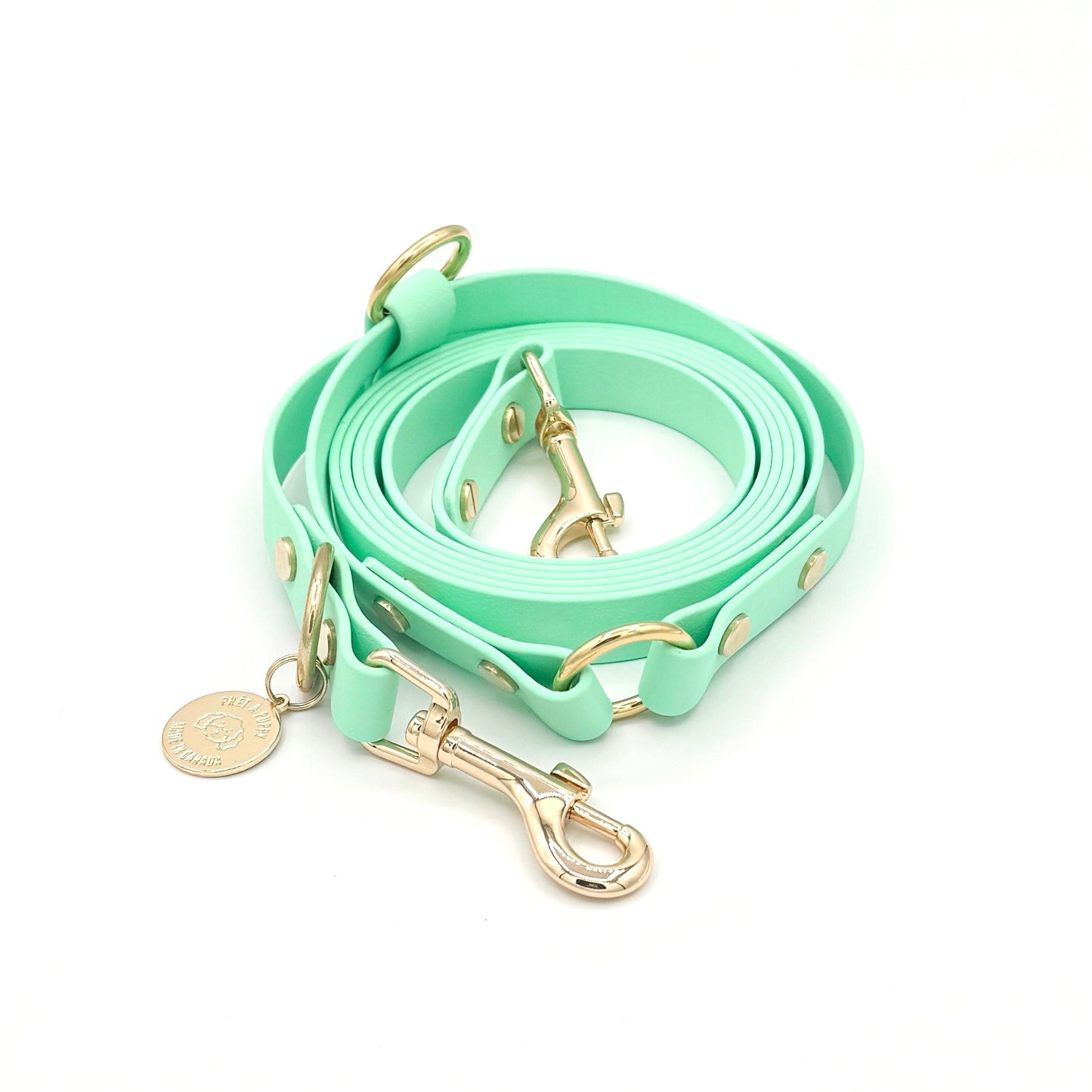 seafoam Biothane hands-free dog leash with gold hardware, waterproof and wearable crossbody or around the waist