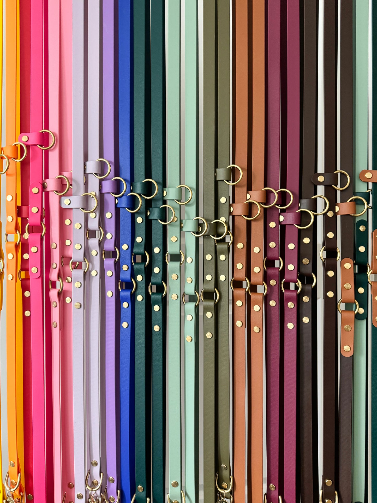 Stylish Biothane hands-free dog leash with gold hardware, waterproof and versatile for waist or crossbody wear