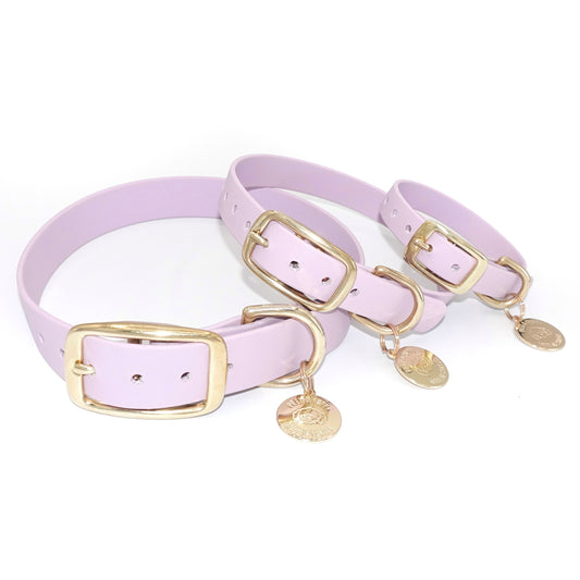 lilac dog collars with gold buckles and tags on a white background 5/8", 3/4", 1" width