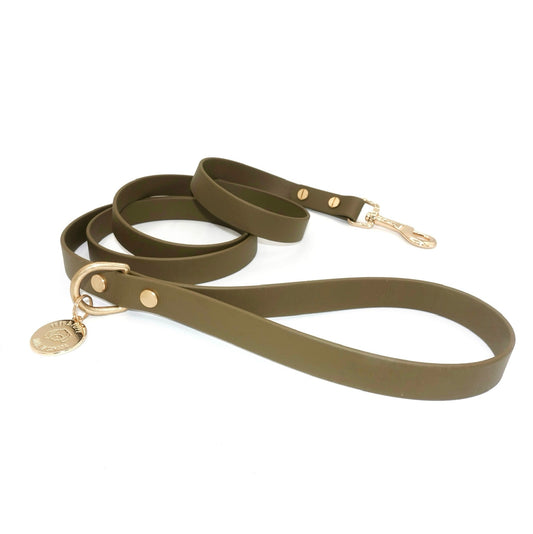 Olive green dog leash with gold hardware on a white background