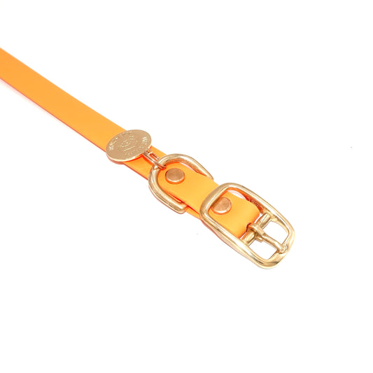 Orange dog collar with gold hardware on a white background