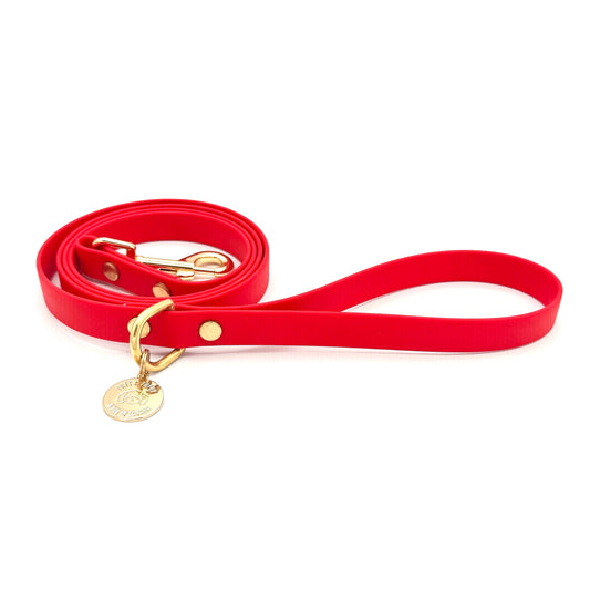 Red dog leash with gold hardware on a white background