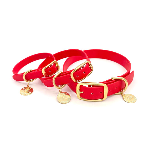 Red dog collars with gold buckles and tags on a white background