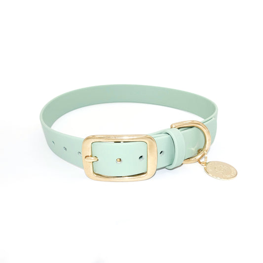 sage green dog collar with a gold buckle and tag on a white background