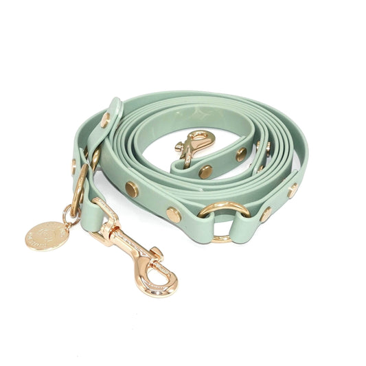 Sage green dog leash with gold hardware on a white background