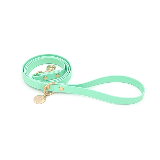 Mint green dog leash with gold hardware on a white background