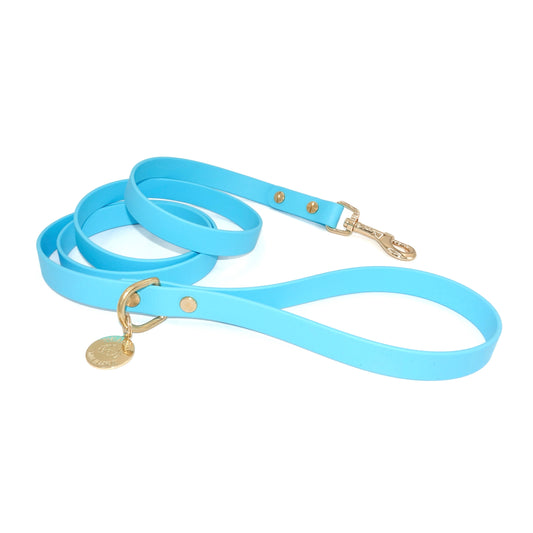 Light blue dog leash with gold hardware on a white background